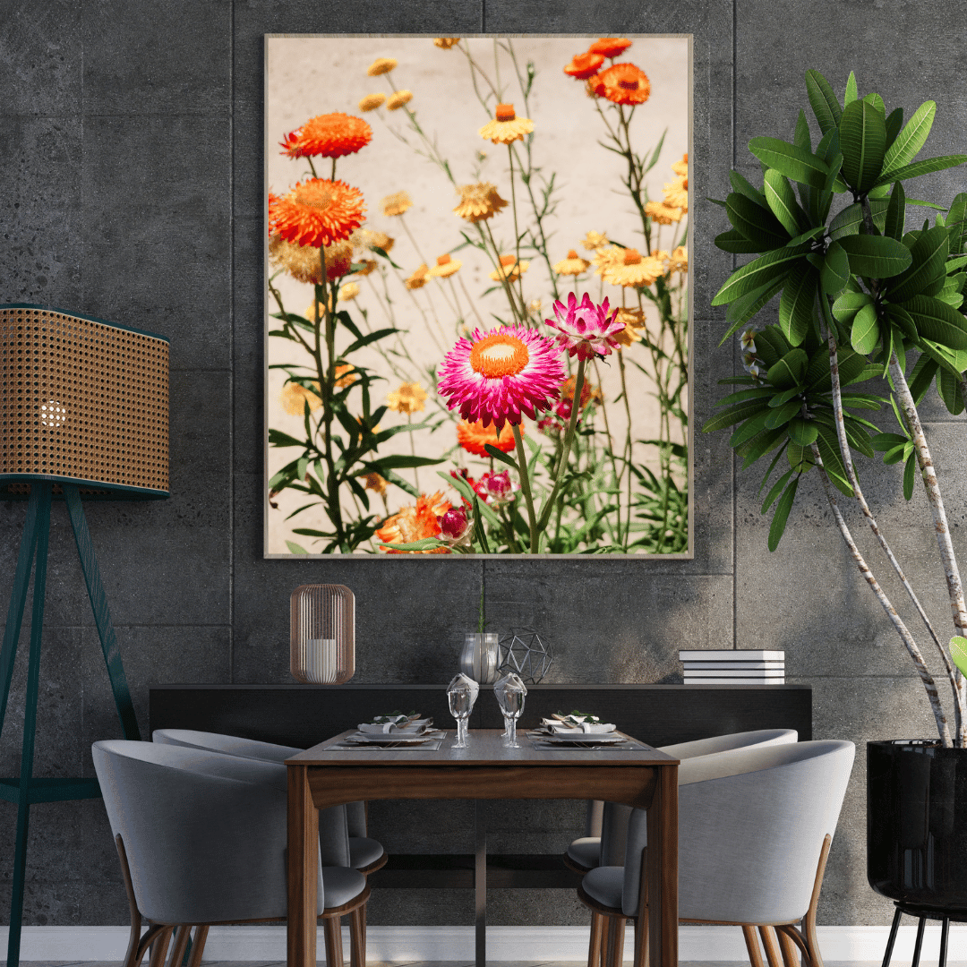 Strawflower Garden Glow HD Acrylic Photo Print