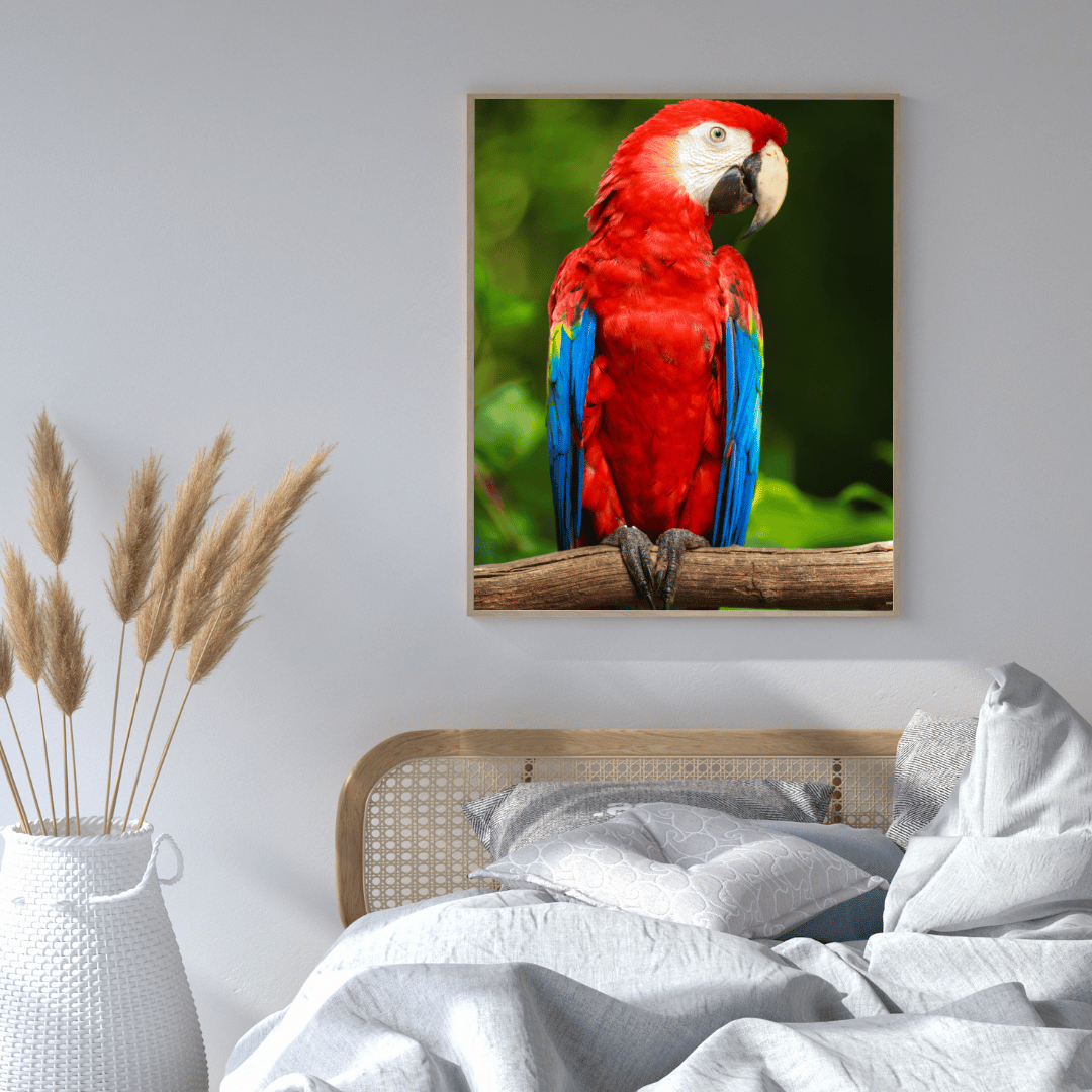 Tropical Majesty: Scarlet Macaw HD Acrylic Photo Print