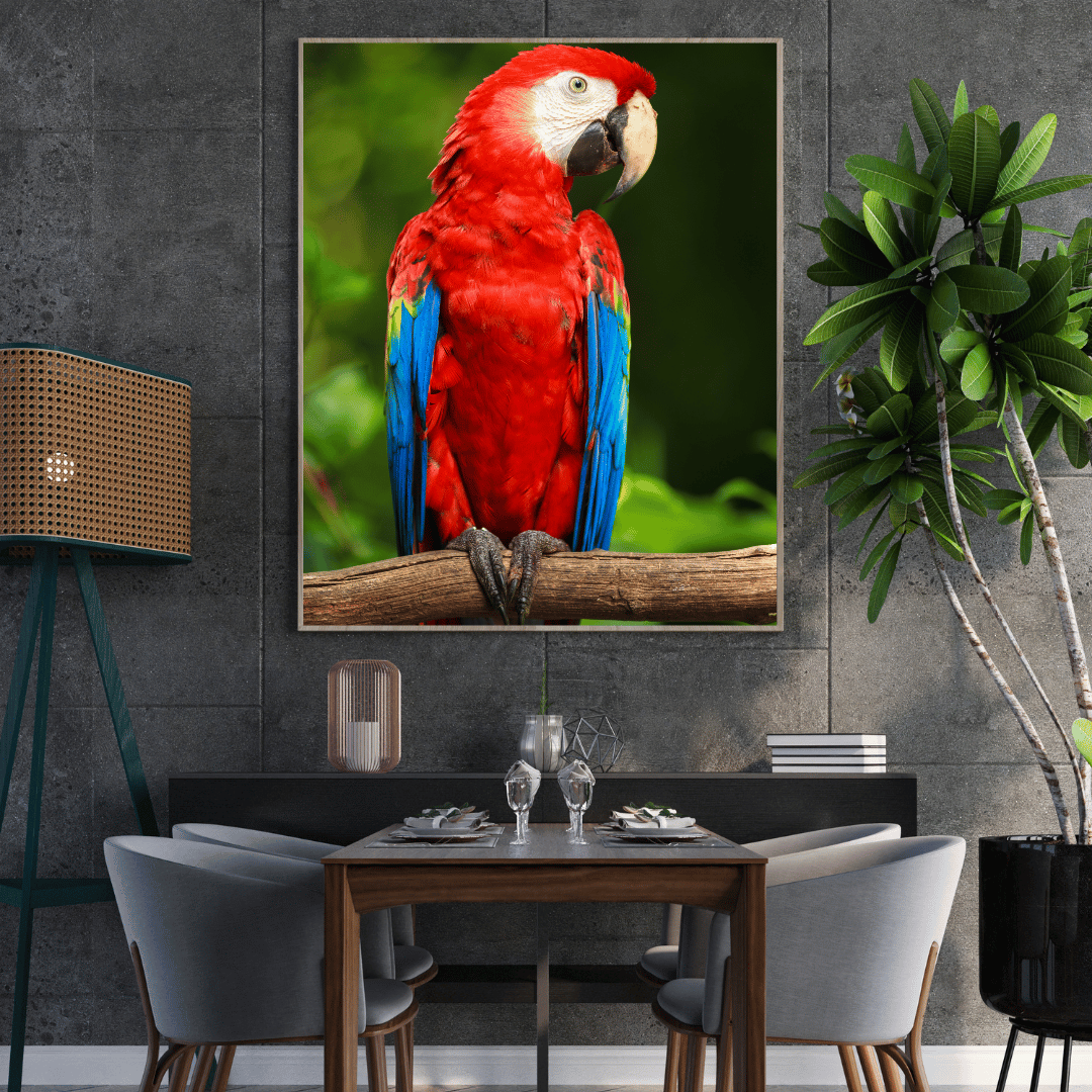 Tropical Majesty: Scarlet Macaw HD Acrylic Photo Print