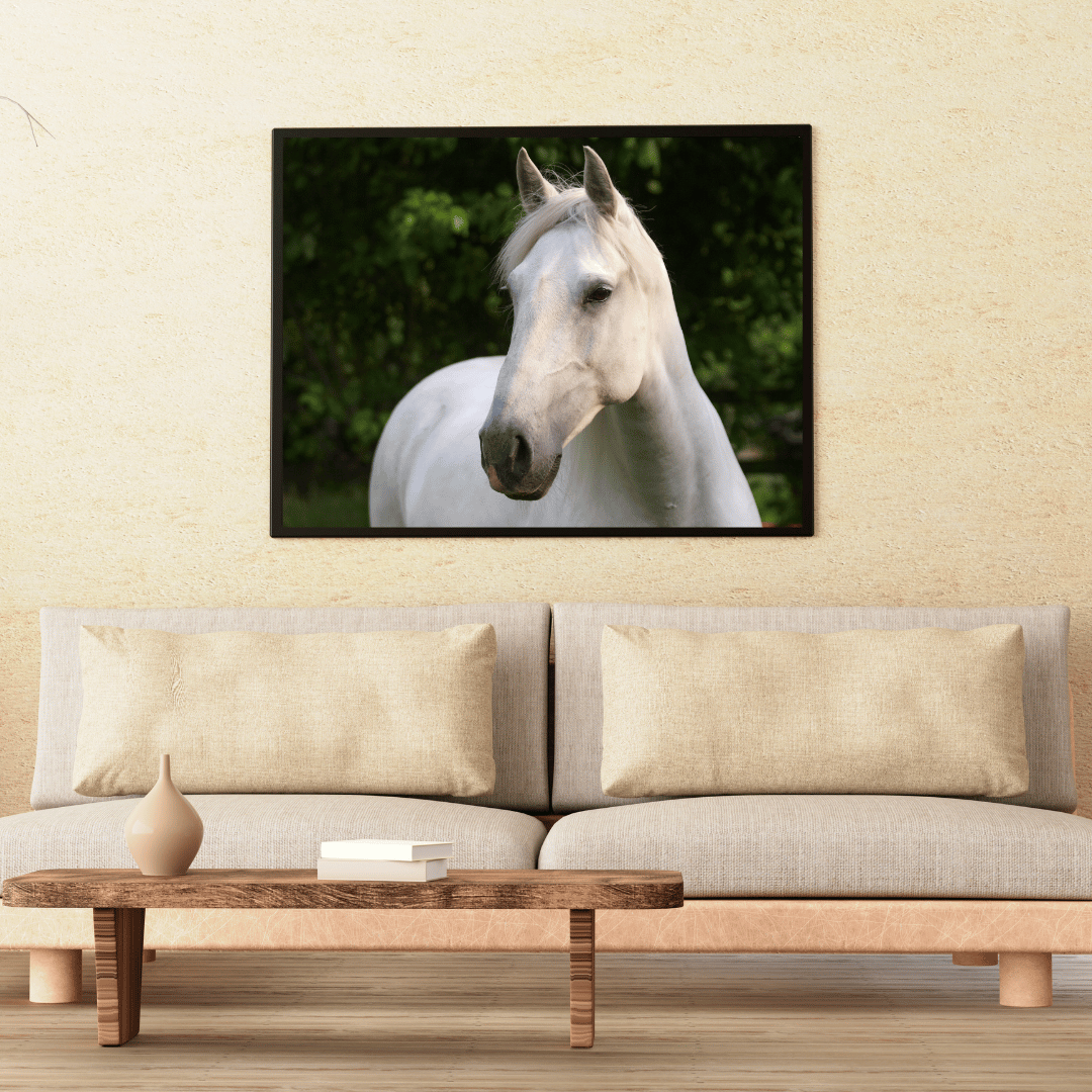 Graceful Gaze: White Stallion Serenity HD Acrylic Photo Print