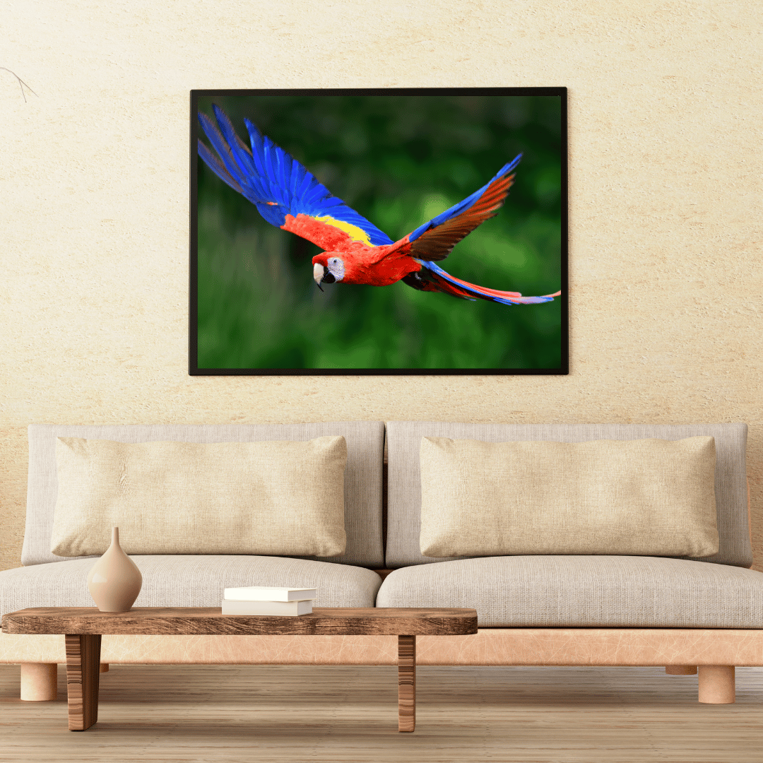 Wings of the Wild: Scarlet Macaw in Flight HD Acrylic Photo Print