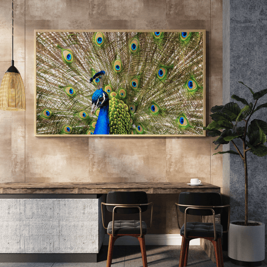 Royal Bloom: Peacock in Full Glory HD Acrylic Photo Print