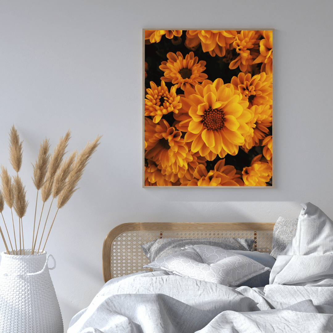 Golden Marigold Radiance HD Acrylic Photo Print