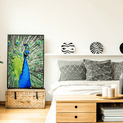 Royal Pride: The Radiant Peacock HD Acrylic Photo Print