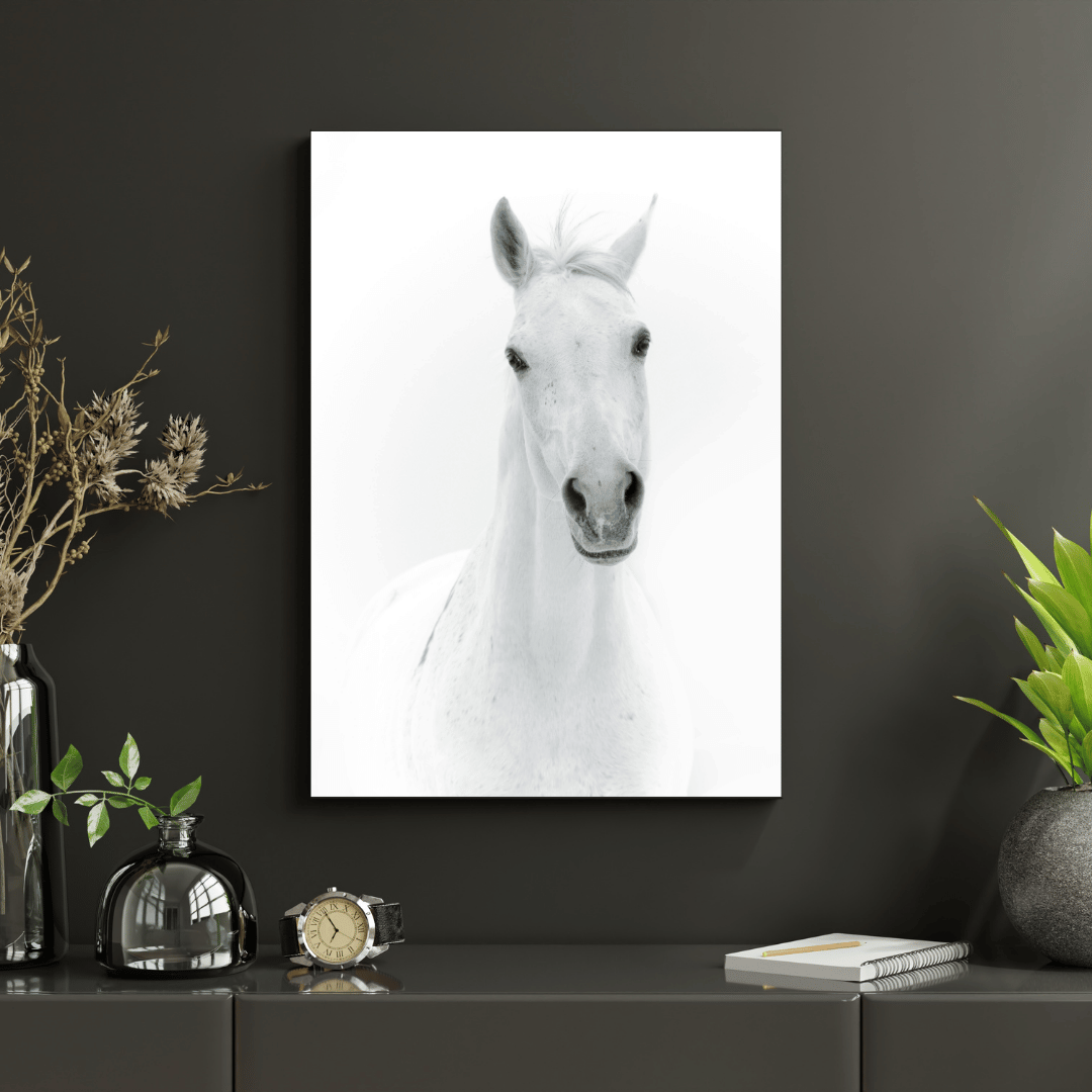 The White Majesty: Graceful Horse Portrait HD Acrylic Photo Print