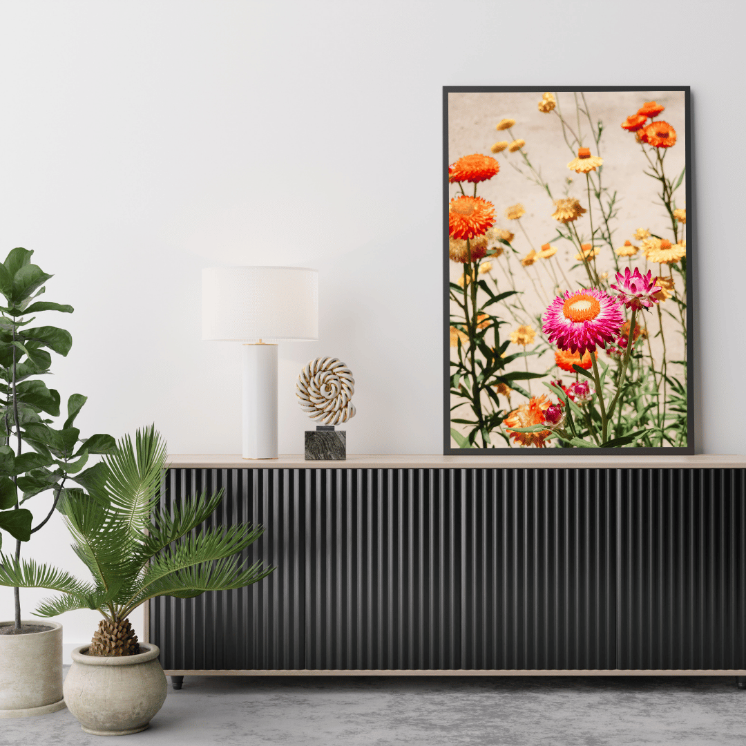 Strawflower Garden Glow HD Acrylic Photo Print