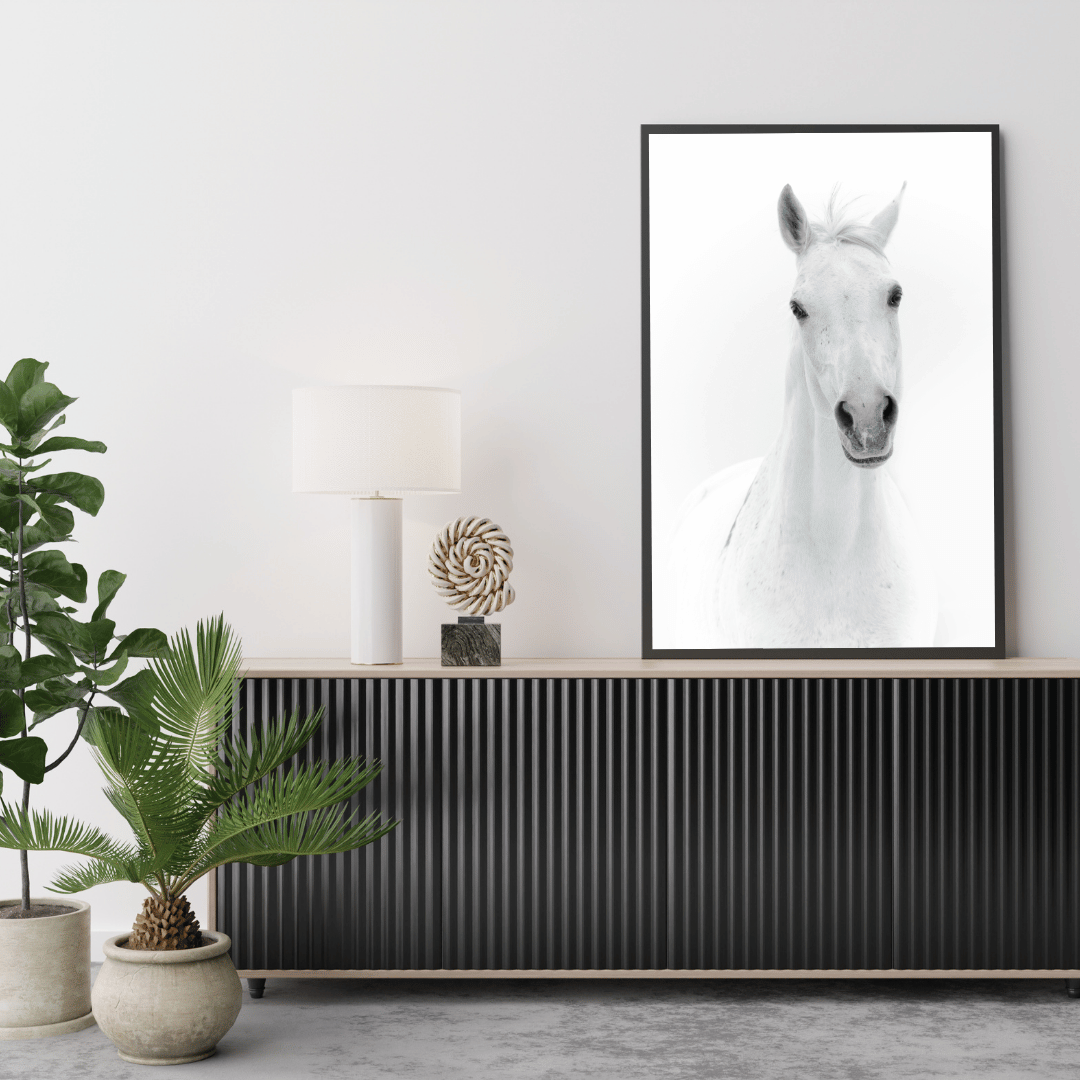 The White Majesty: Graceful Horse Portrait HD Acrylic Photo Print