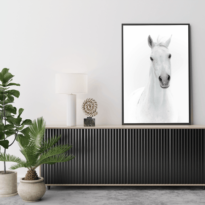 The White Majesty: Graceful Horse Portrait HD Acrylic Photo Print