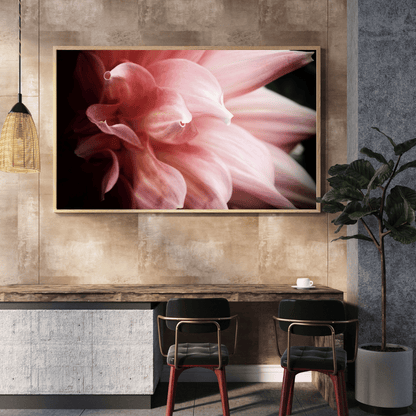Whispers of Petals HD Acrylic Photo Print