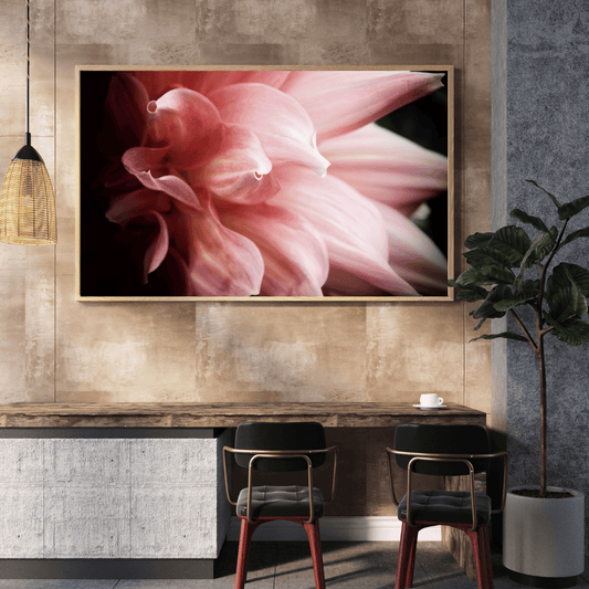 Whispers of Petals HD Acrylic Photo Print