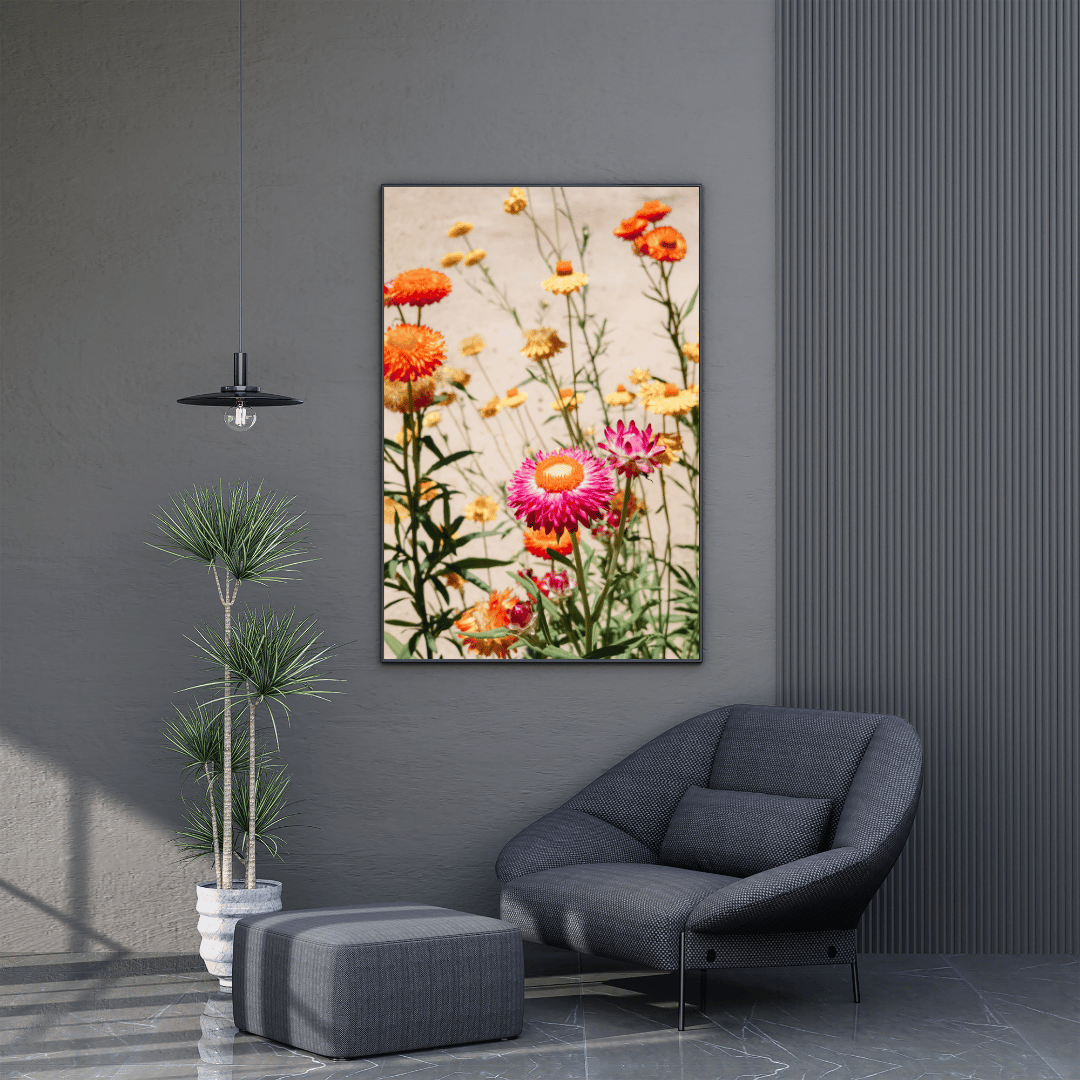 Strawflower Garden Glow HD Acrylic Photo Print