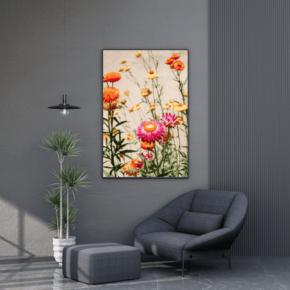 Strawflower Garden Glow HD Acrylic Photo Print
