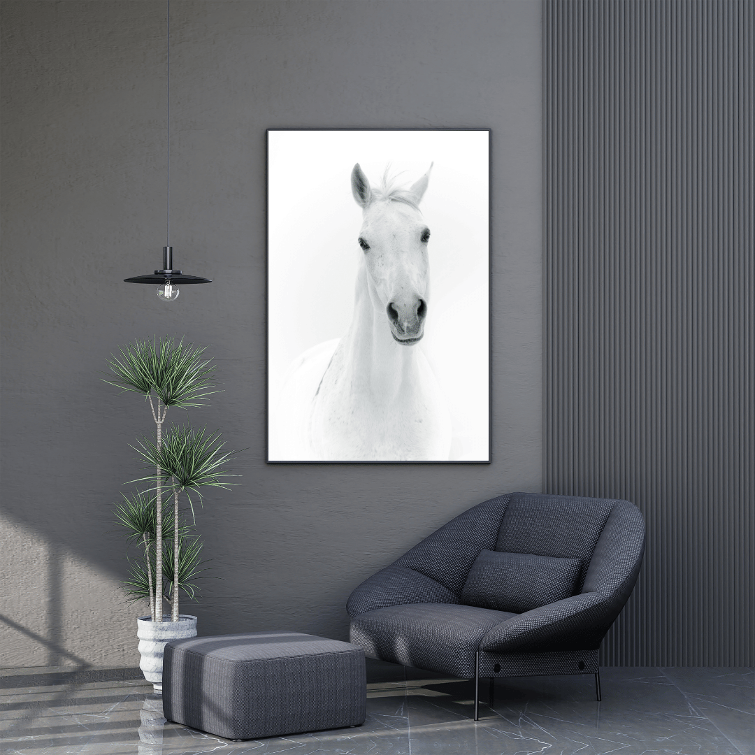 The White Majesty: Graceful Horse Portrait HD Acrylic Photo Print