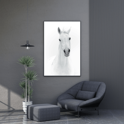 The White Majesty: Graceful Horse Portrait HD Acrylic Photo Print