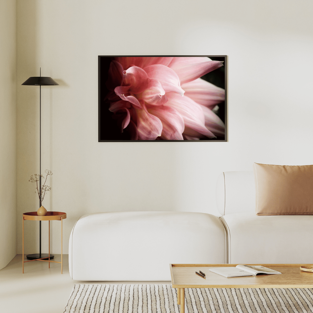 Whispers of Petals HD Acrylic Photo Print