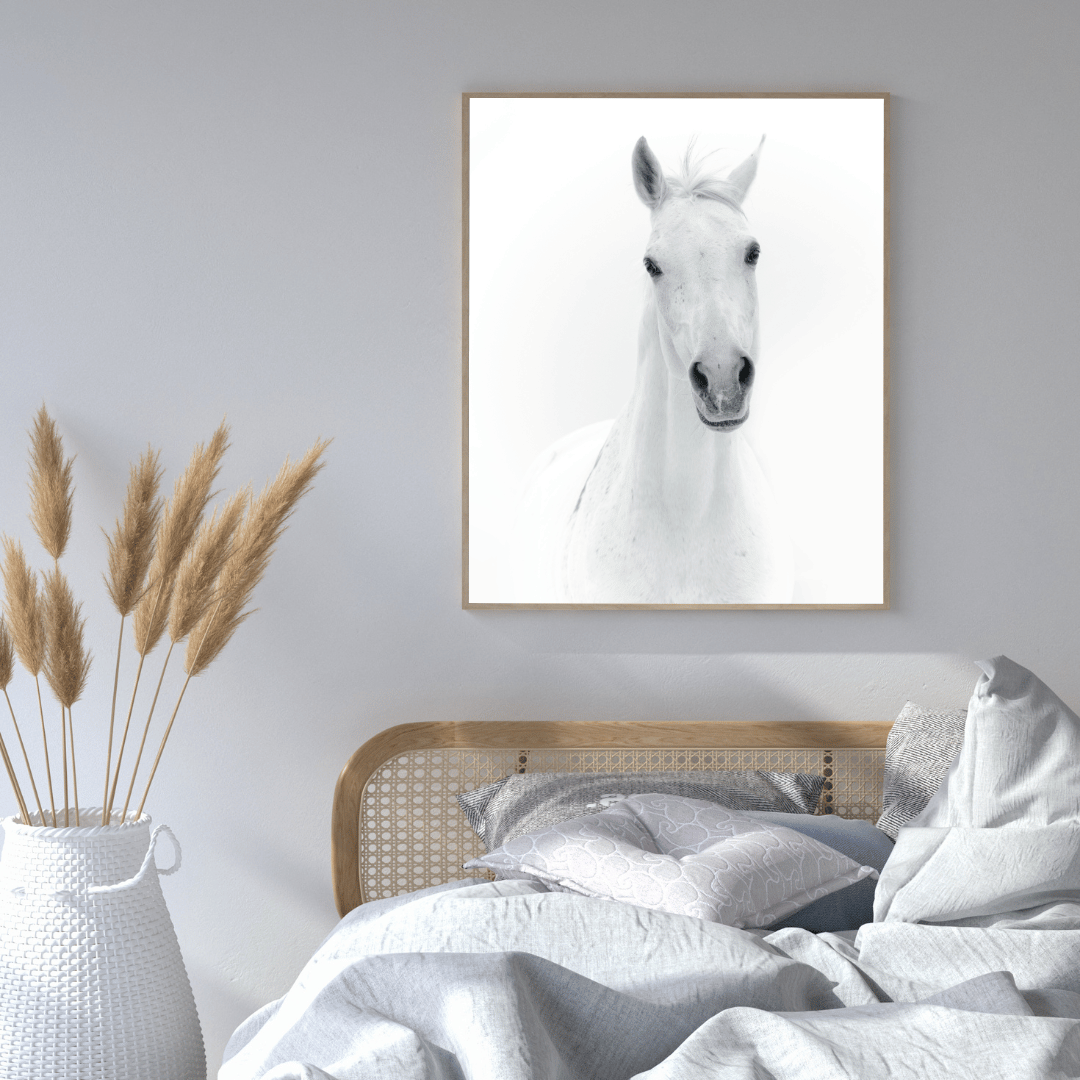 The White Majesty: Graceful Horse Portrait HD Acrylic Photo Print