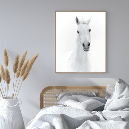 The White Majesty: Graceful Horse Portrait HD Acrylic Photo Print