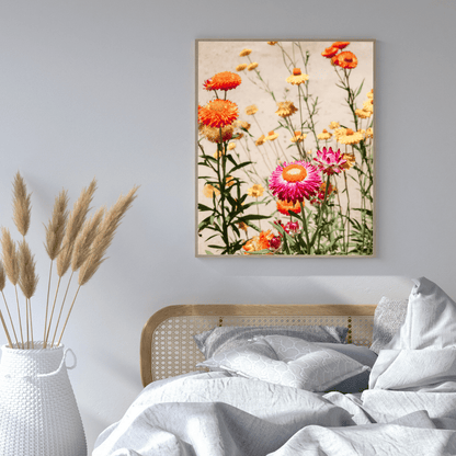 Strawflower Garden Glow HD Acrylic Photo Print