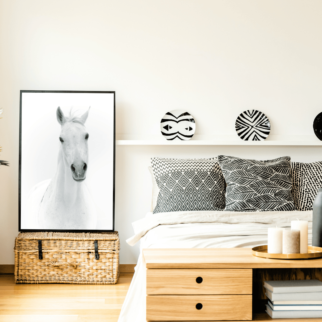 The White Majesty: Graceful Horse Portrait HD Acrylic Photo Print