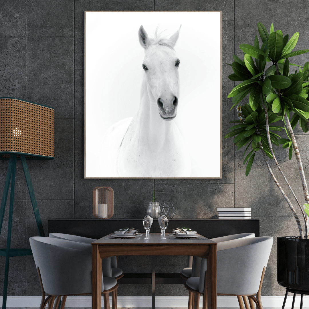 The White Majesty: Graceful Horse Portrait HD Acrylic Photo Print