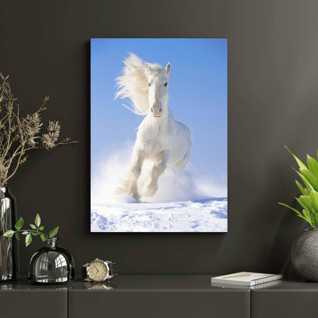 Blizzard Runner: White Horse in Snow HD Acrylic Photo Print
