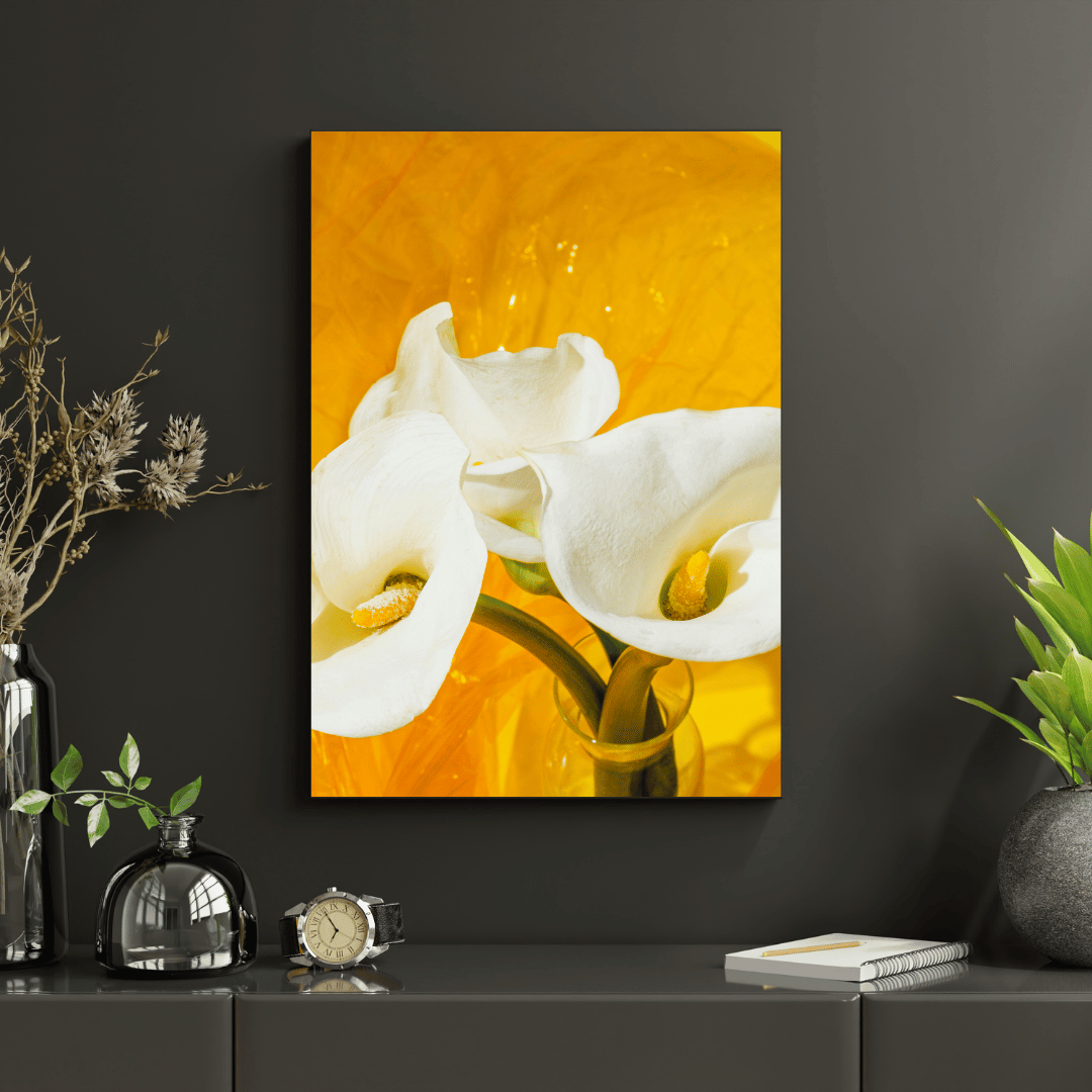 Golden Glow Calla Lily HD Acrylic Photo Print