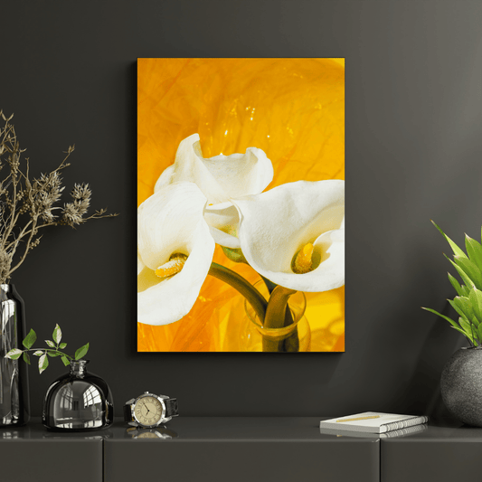 Golden Glow Calla Lily HD Acrylic Photo Print