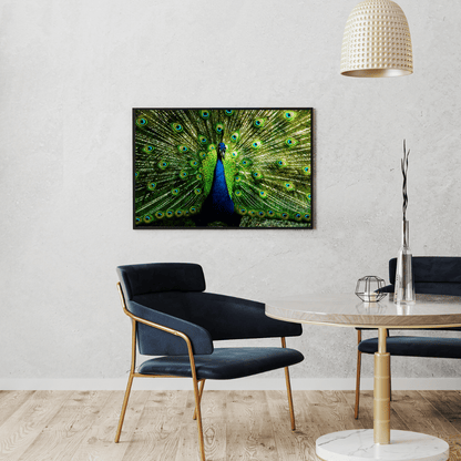 Royal Plumage: Dancing Peacock in Full Glory HD Acrylic Photo Print
