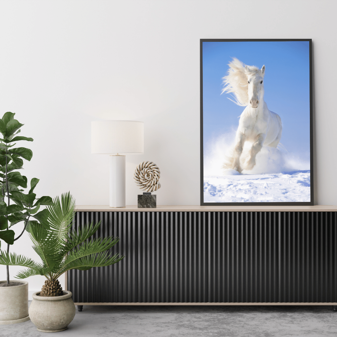 Blizzard Runner: White Horse in Snow HD Acrylic Photo Print