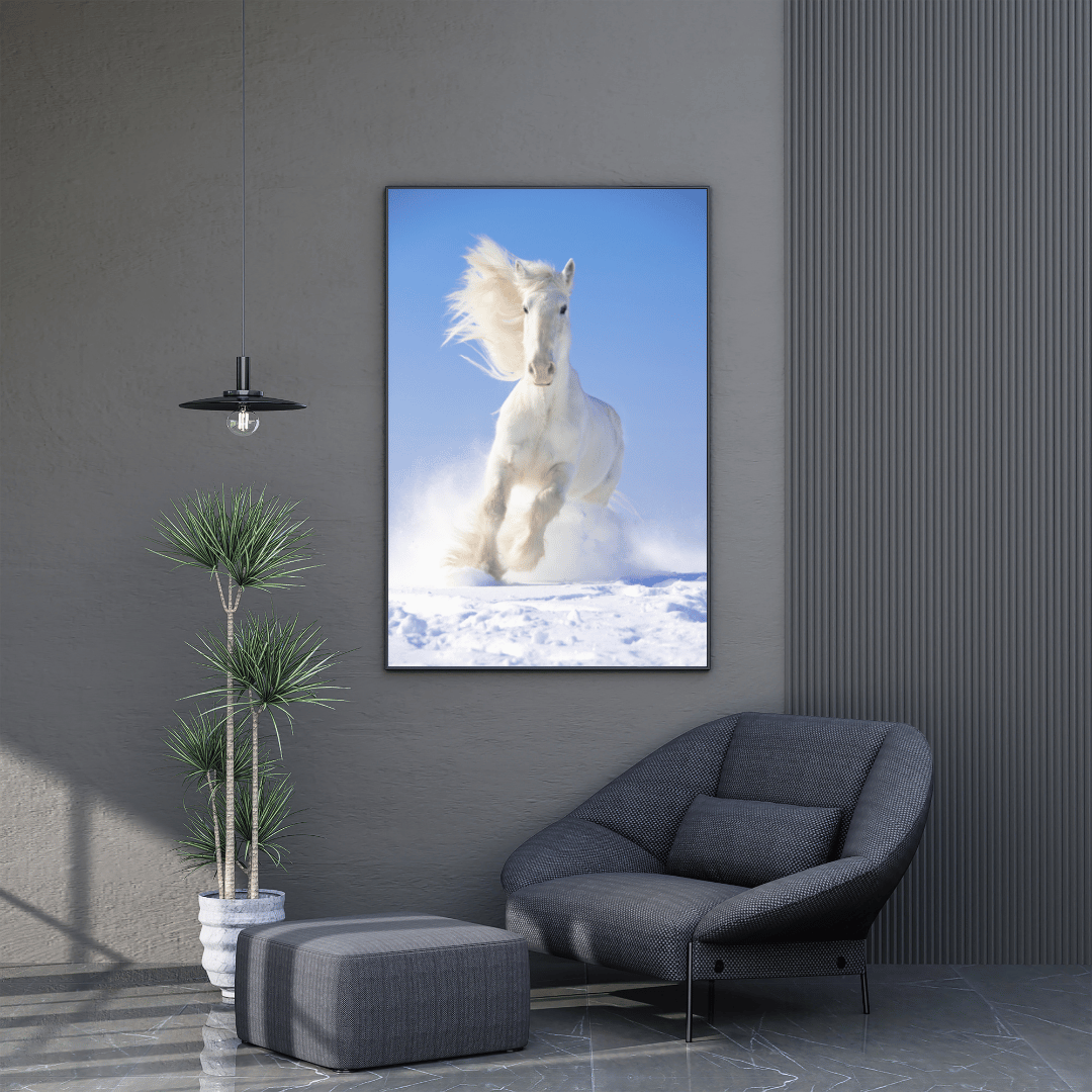 Blizzard Runner: White Horse in Snow HD Acrylic Photo Print