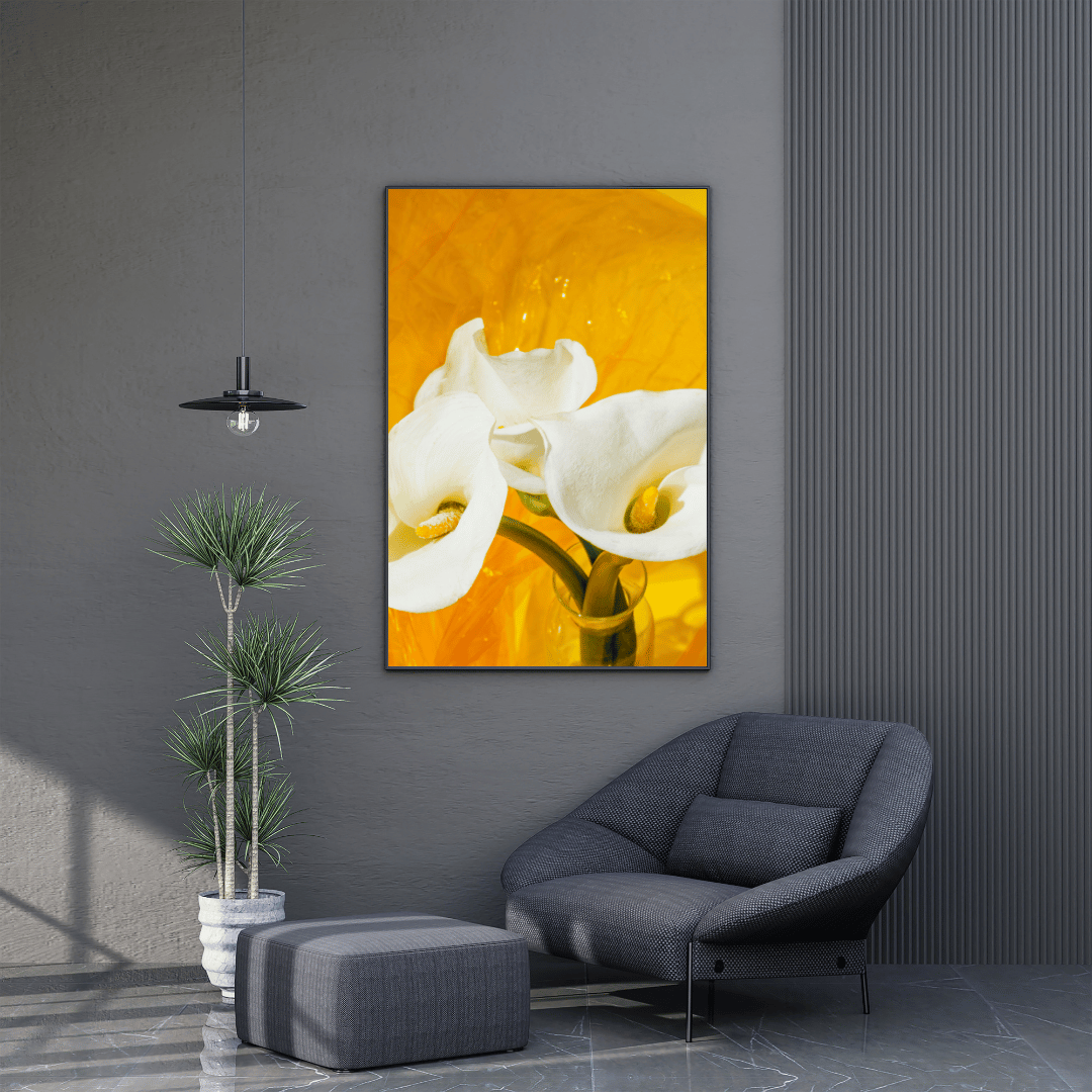 Golden Glow Calla Lily HD Acrylic Photo Print