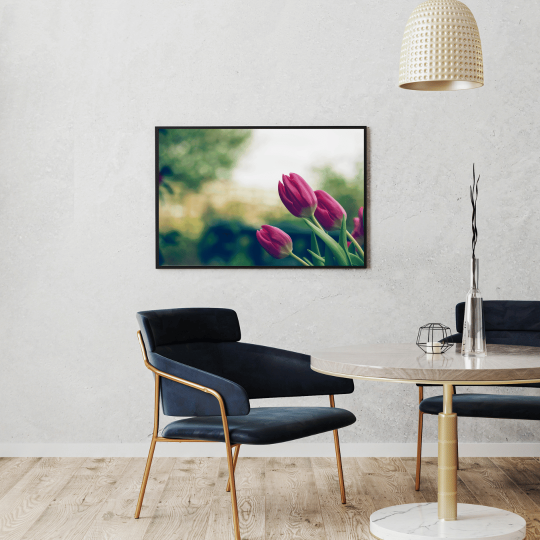 Whispers of Spring Tulips HD Acrylic Photo Print