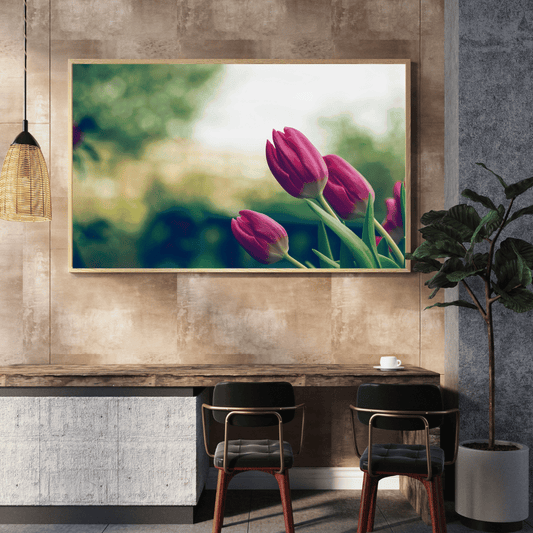 Whispers of Spring Tulips HD Acrylic Photo Print