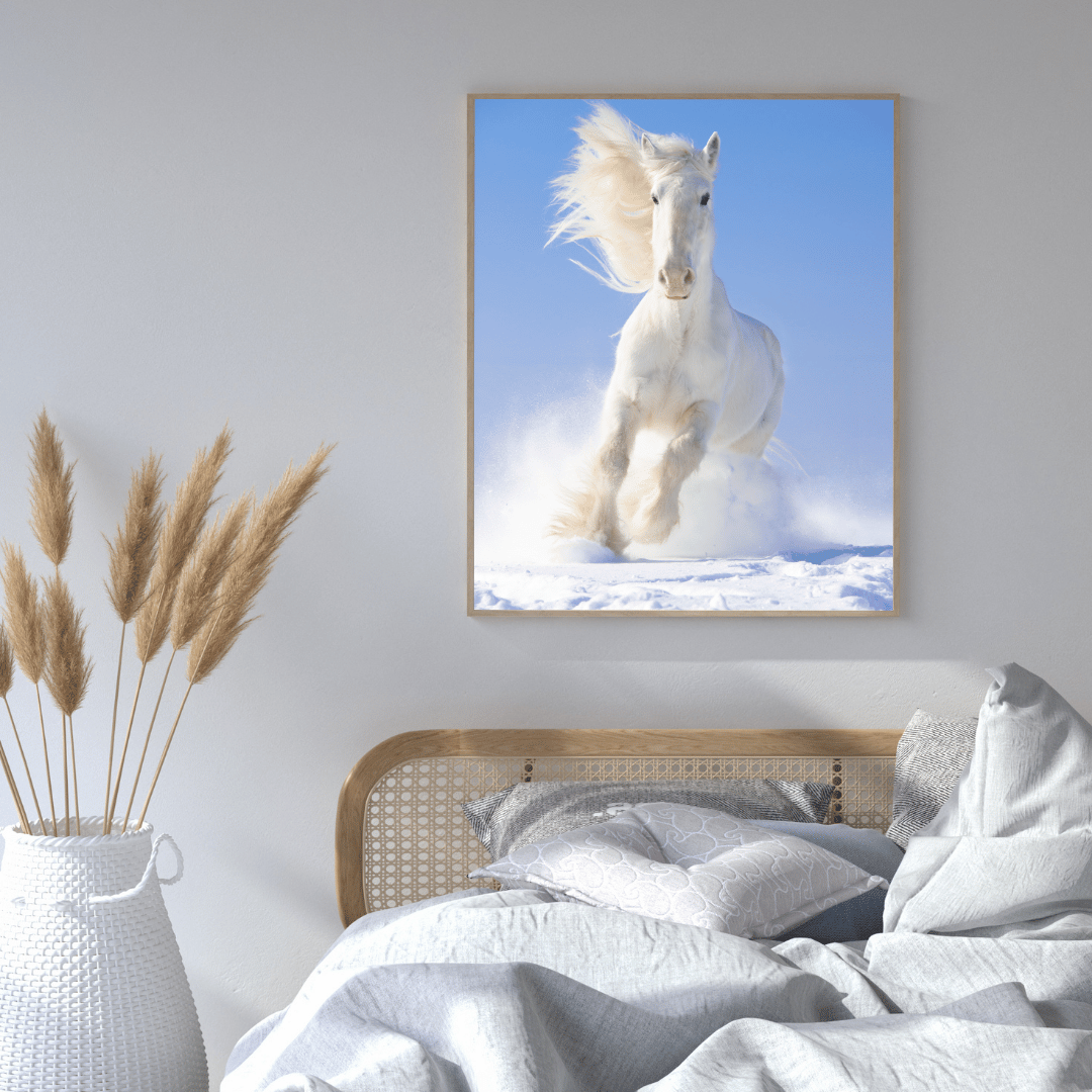 Blizzard Runner: White Horse in Snow HD Acrylic Photo Print