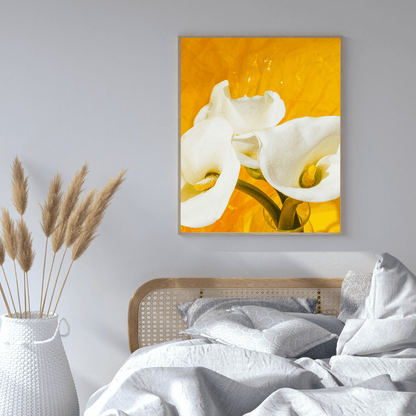 Golden Glow Calla Lily HD Acrylic Photo Print