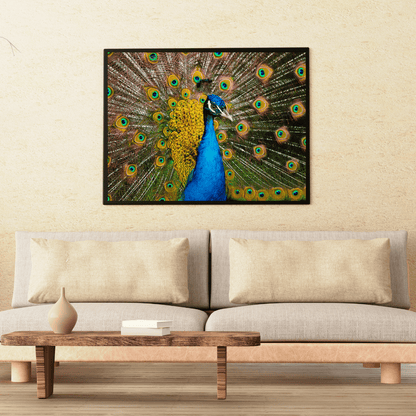 Radiant Royalty: Peacock in Full Glory HD Acrylic Photo Print