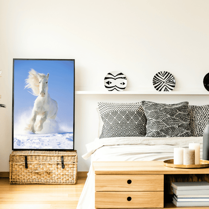 Blizzard Runner: White Horse in Snow HD Acrylic Photo Print