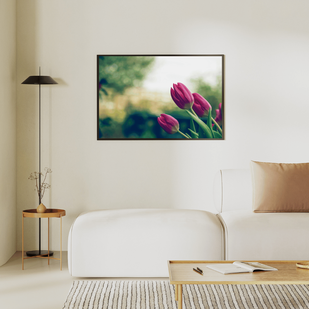 Whispers of Spring Tulips HD Acrylic Photo Print