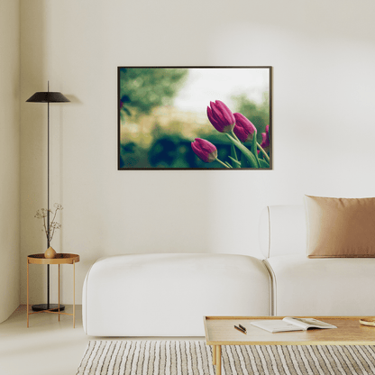 Whispers of Spring Tulips HD Acrylic Photo Print