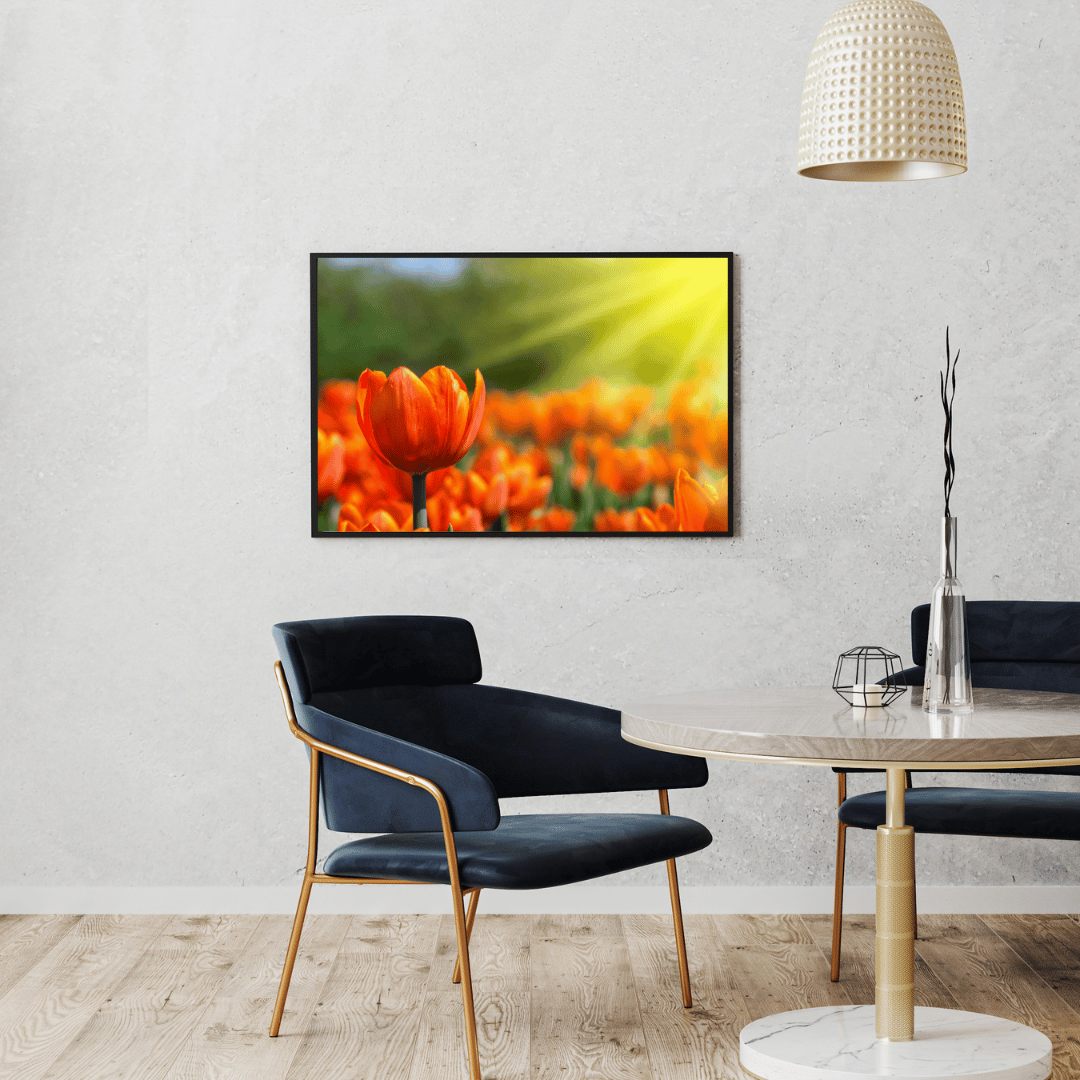 Golden Glow of Tulips HD Acrylic Photo Print