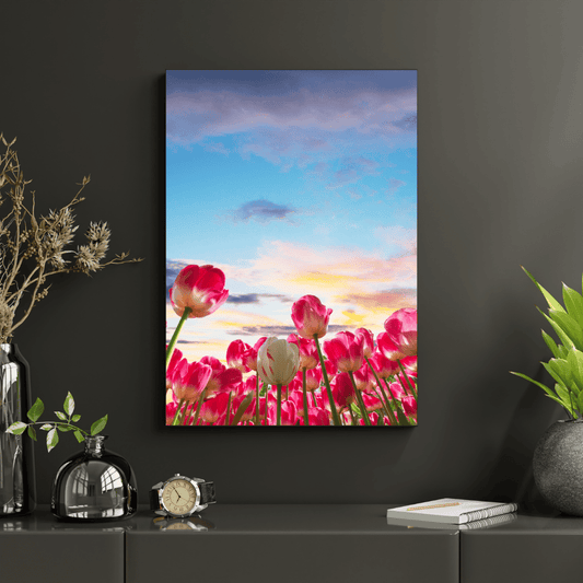 Tulip Skies at Sunset HD Acrylic Photo Print