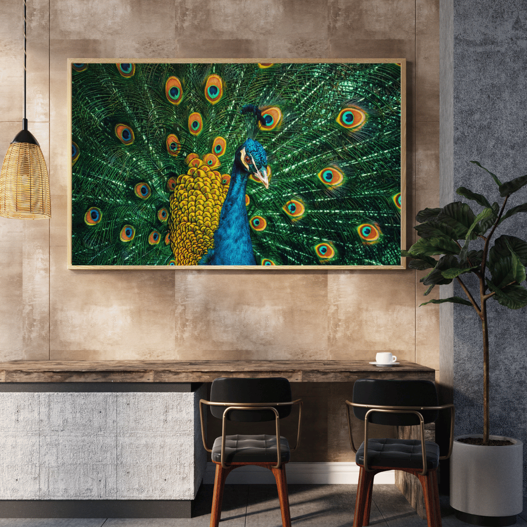 Majestic Bloom: Vibrant Peacock Glory HD Acrylic Photo Print