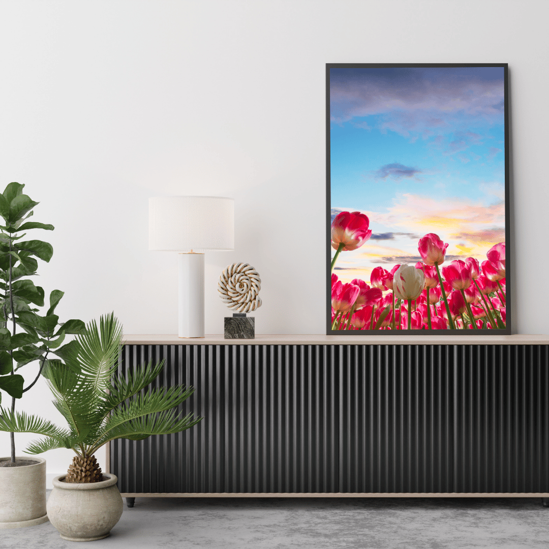 Tulip Skies at Sunset HD Acrylic Photo Print