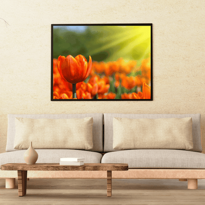 Golden Glow of Tulips HD Acrylic Photo Print