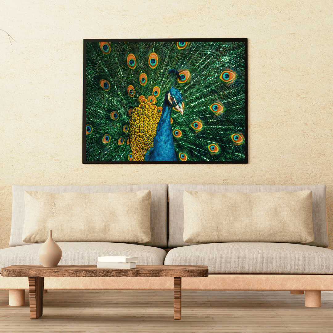 Majestic Bloom: Vibrant Peacock Glory HD Acrylic Photo Print