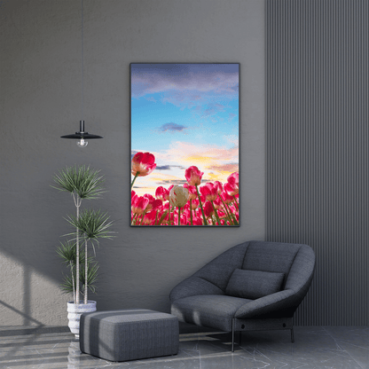 Tulip Skies at Sunset HD Acrylic Photo Print