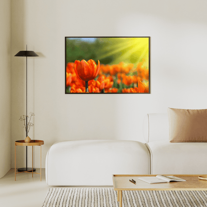 Golden Glow of Tulips HD Acrylic Photo Print