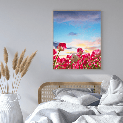 Tulip Skies at Sunset HD Acrylic Photo Print
