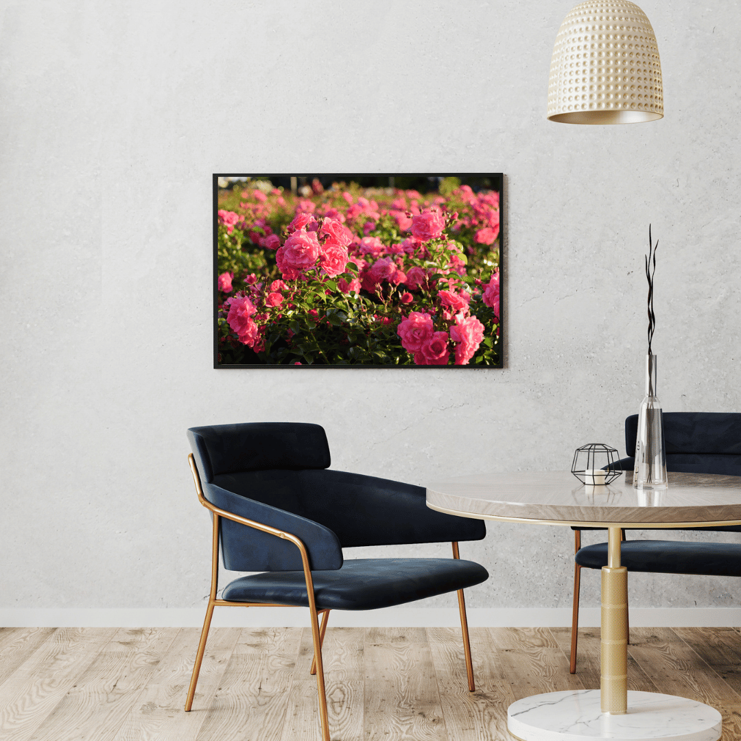 Rosy Bloom Garden HD Acrylic Photo Print