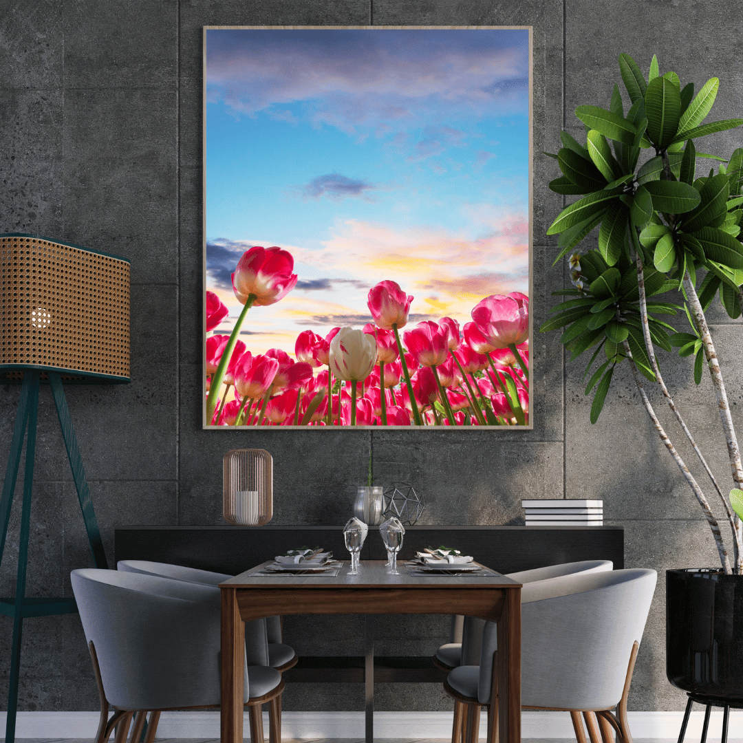 Tulip Skies at Sunset HD Acrylic Photo Print
